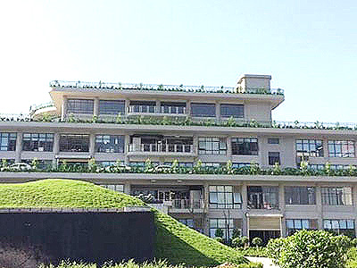 佛山星联清水混凝土保护剂工程